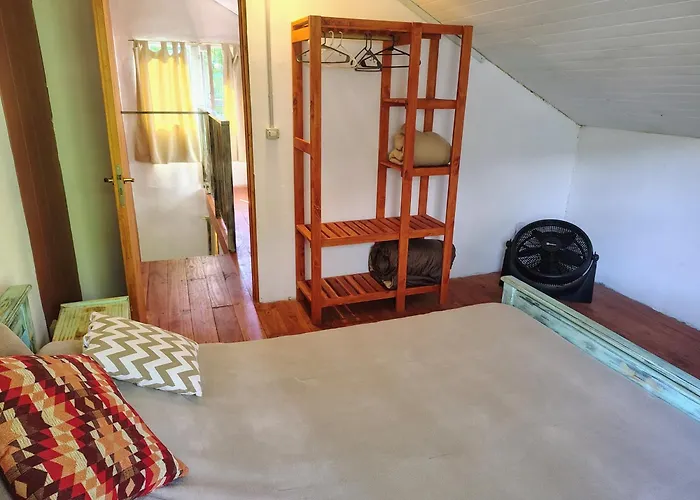 Mi Casa Tu Casa D